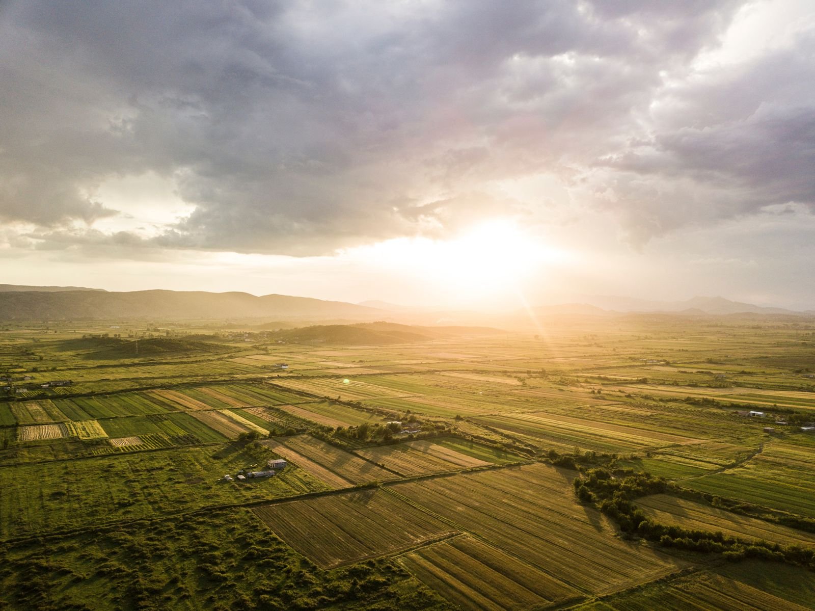 Vista aérea de campos de cultivo en Castilla y León